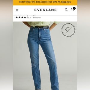 NWT: Everlane Way High Slim Jeans 27R